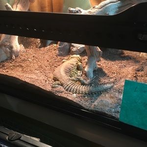 Meet your Posher, Mike